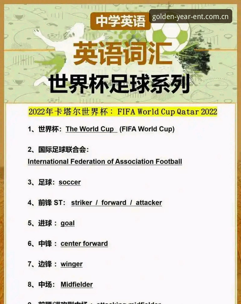 资深用户深度解析：从世界杯门票到签证困境，金年会2025新版带你洞察国际体育赛事的冷场真相